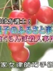 农家女律师巧手办案