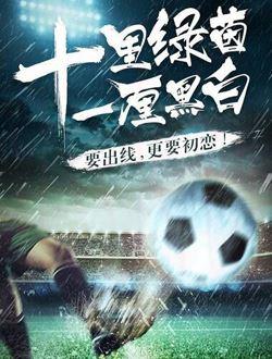 十里绿茵一厘黑白