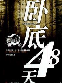 卧底48天