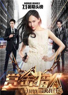 格子间女人 TV版