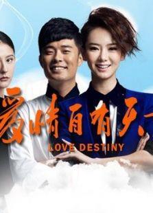 爱情自有天意TV版