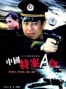 中国特案A组