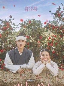 百日的郎君