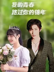 我的青春路过你的锦年