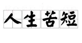 人生苦短