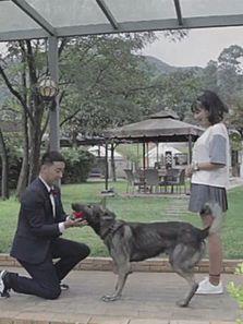 整蛊青年