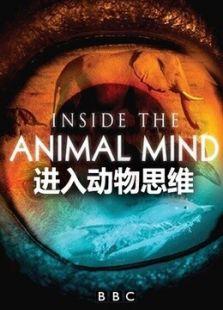 BBC：进入动物的思维
