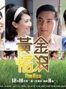 黄金稻浪
