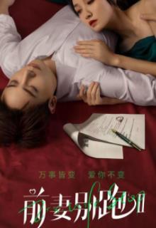 前妻别跑2