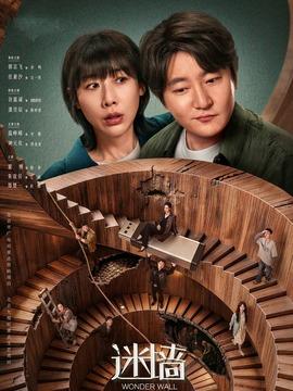 迷墙剧情介绍（1-20全集）大结局