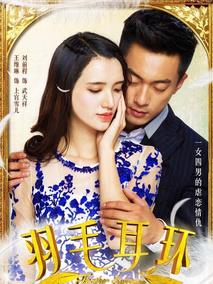 羽毛耳环