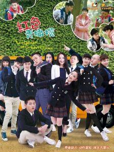 红色青橄榄DVD