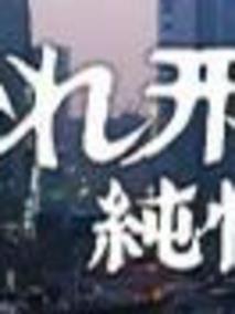 刑事纯情派17