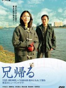 兄长归来