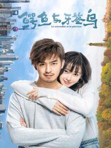 鳄鱼与牙签鸟[DVD版]