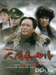 人间风雨情DVD