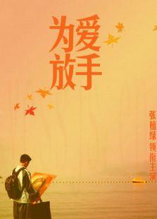 为爱放手（2011）