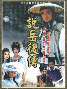 说岳后传