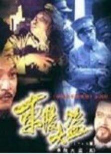 东陵大盗（五）