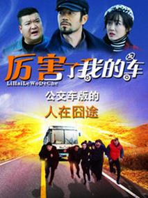 厉害了我的车