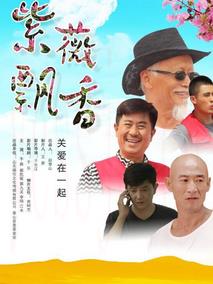 紫薇飘香