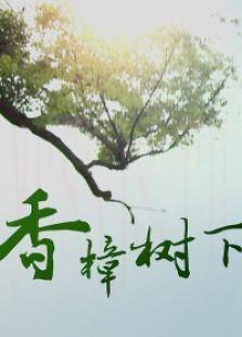 香樟树下