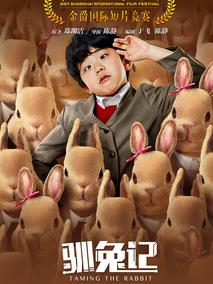 驯兔记