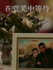 在荒芜中等待