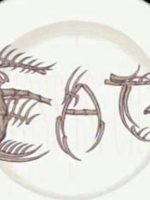 吃（E.A.T）