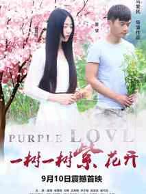 一树一树紫花开