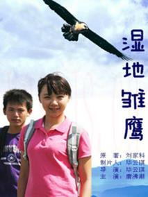 湿地雏鹰