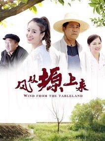 风从塬上来