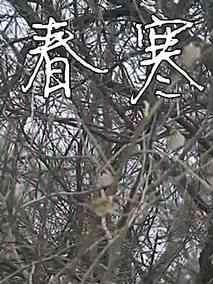 春寒