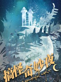 搞怪奇妙夜
