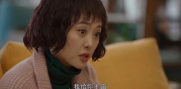 青山是故乡第11集剧照