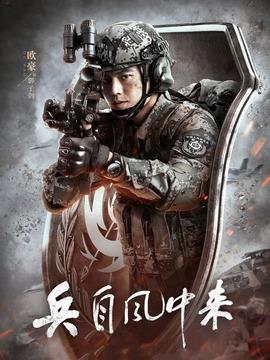 兵自风中来剧情介绍