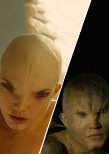 Dren(雌雄同体)
