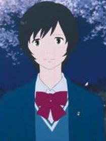 枫