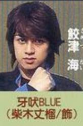 牙吠蓝(蓝鲨战士)——鲛津海