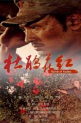 胡宗元