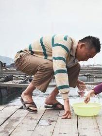 陈比觉
