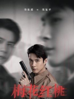 陈家平（韩东君饰演）