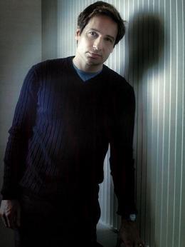 Fox William Mulder（大卫&middot;杜楚尼饰演）